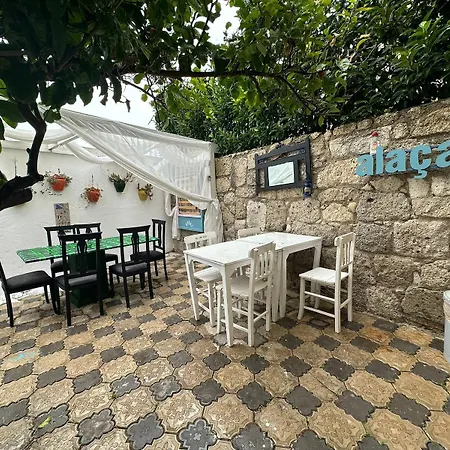 Monat Hacimemis